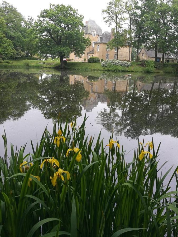 Chateau Du Bois Glaume Poligné Esterno foto