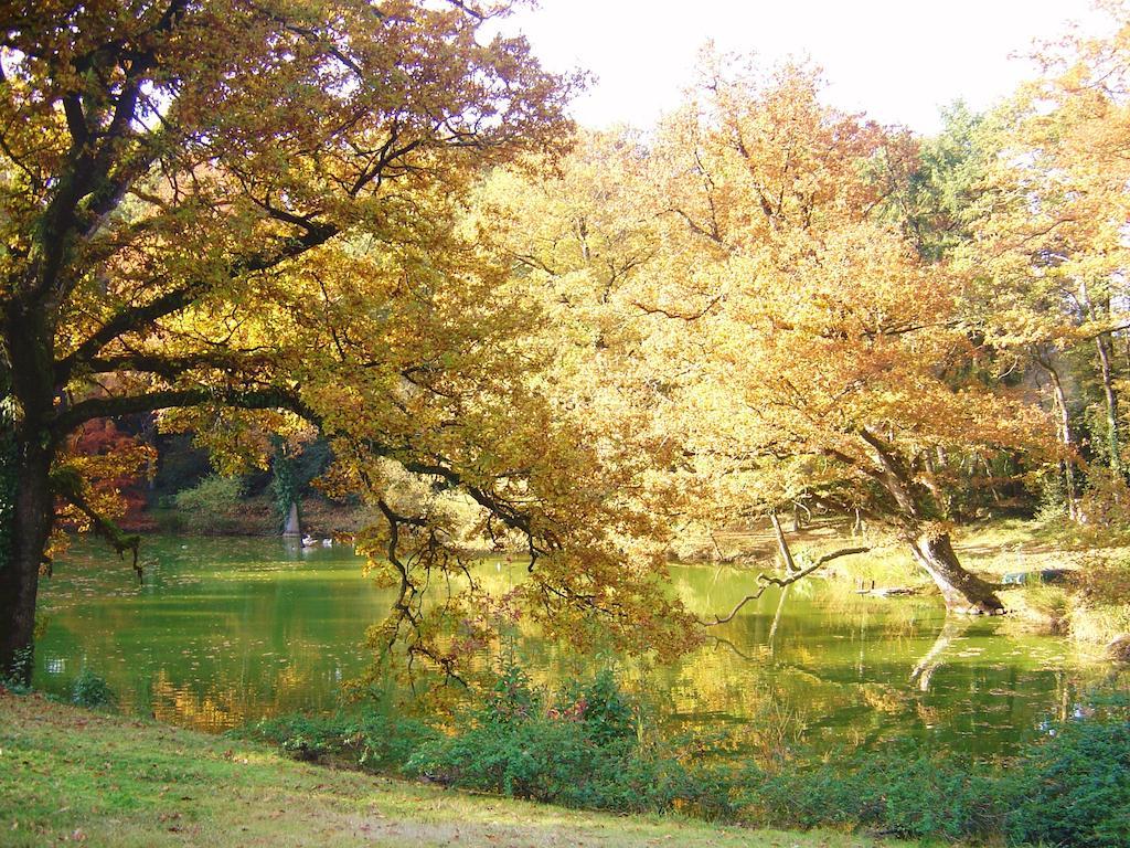Chateau Du Bois Glaume Poligné Camera foto